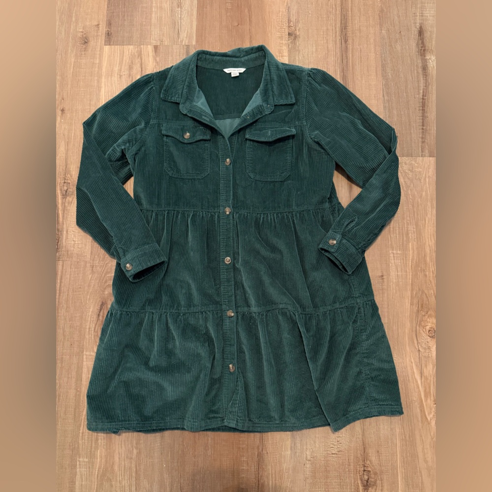 American Eagle Velvet Babydoll Dress